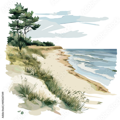 Curonian Spit. Curonian Spit watercolor vector illustration