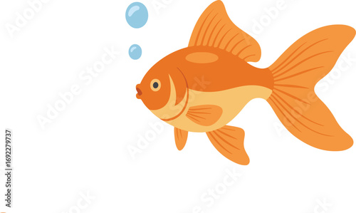 A goldfish swimming with bubbles in a white isolated background