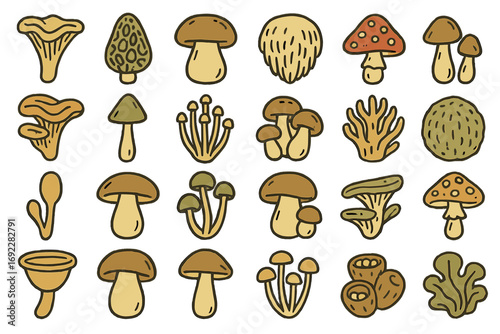 Different varieties of mushrooms illustrated in a colorful and whimsical style, showcasing their unique shapes and colors