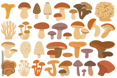 Hand-drawn edible and wild mushroom icon set with assorted fungi varieties on a warm earthy gradient background