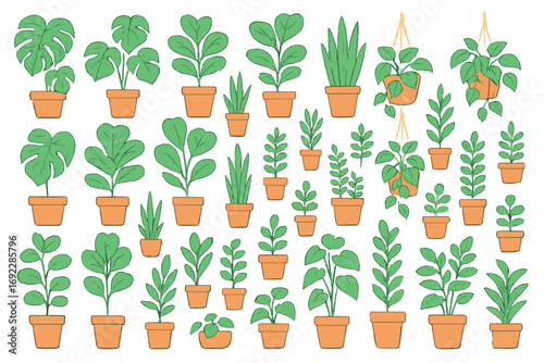 Hand-drawn houseplant collection in terracotta pots and hanging planters with green foliage on gradient background