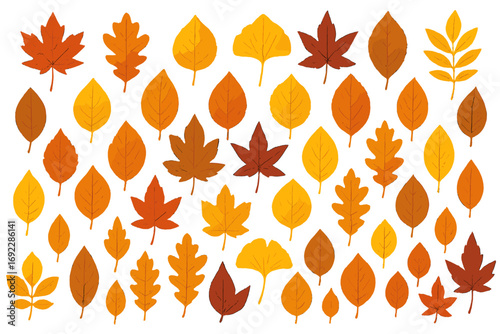 Colorful autumn leaves in various shapes and sizes arranged artistically on a white background