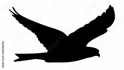 Silhouette of a bird with outstretched wings soaring through the air on a white background image view