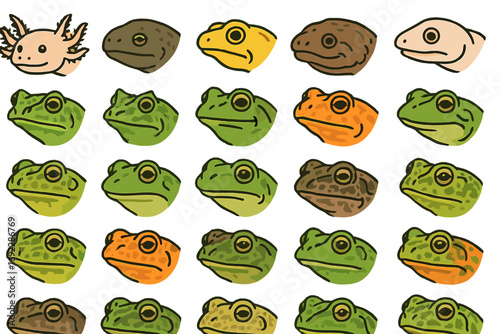 Colorful array of amphibian illustrations showcasing various species' unique features and colors