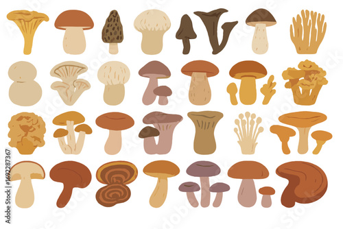 Hand-drawn collection of mushrooms in earthy tones featuring various fungi species and shapes