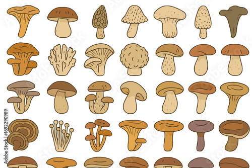Hand-drawn mushroom icon collection featuring edible and wild fungi species on a warm earth-tone gradient background