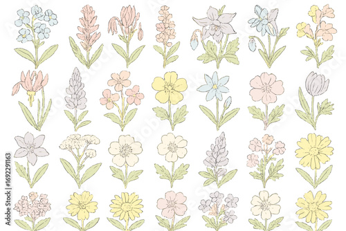 Colorful floral pattern featuring various spring flowers on a white background for artistic inspiration and decoration
