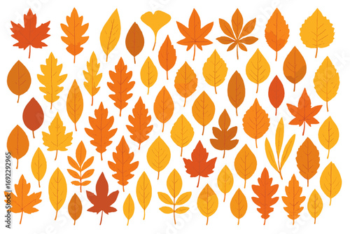 Colorful autumn leaves arranged artistically showcasing the vibrant hues of fall foliage in a creative display