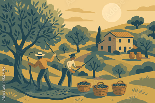 Farmers Collecting Olives in Mediterranean Countryside with Baskets and Olive Trees at Sunset Illustration