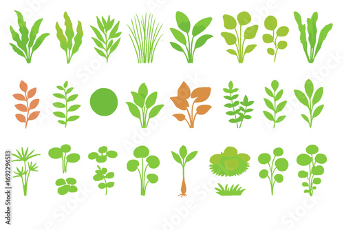 Hand-drawn collection of edible greens and herb plant illustrations featuring microgreens, leafy sprouts, and culinary herbs on green background