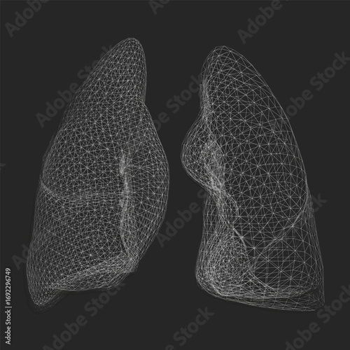 Human lungs in detailed wireframe 3D model on black background, showcasing intricate anatomical structure and respiratory system design.