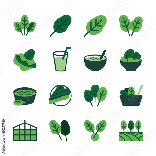 Collection of fresh green spinach icons and illustrations for healthy eating