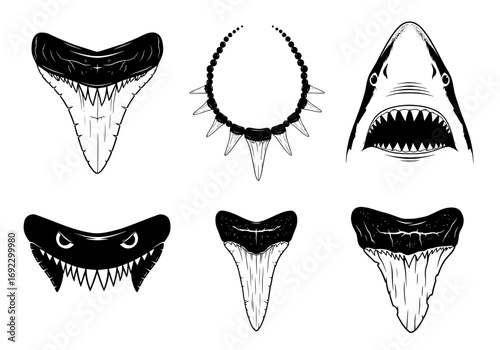 Collection of shark teeth and shark head illustration isolated on white background silhouette graphics elements set