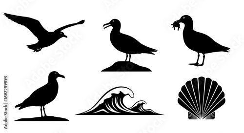Set of black silhouette illustrations of seagulls, waves, and a seashell, isolated on white background silhouette graphics elements set