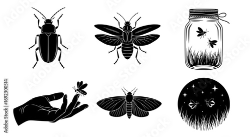 Collection of black silhouette insects and celestial elements isolated on white background silhouette graphics elements set