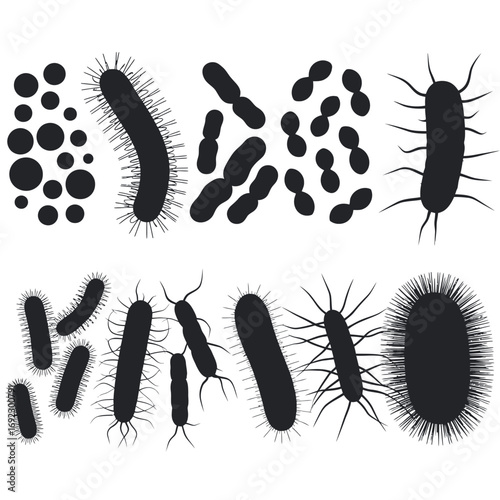 Collection of silhouetted bacteria and microorganisms in various shapes and forms