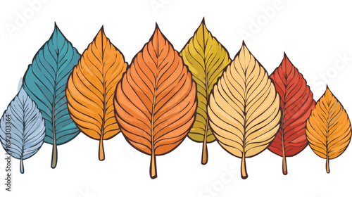 Fall Leaves. Four leaves from the same tree changing to fall color