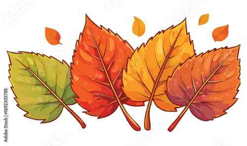 Fall Leaves. Four leaves from the same tree changing to fall color