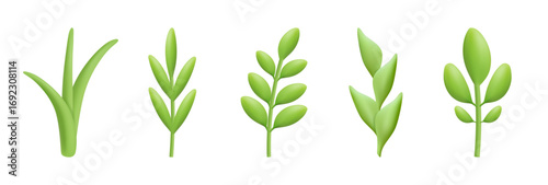 Branches and foliage leaves for bouquet decoration and arrangement. Vector 3d style, isolated bunch of floral decor. Seasonal summer or spring ornament, leafy twig from trees or bushes