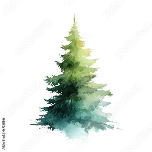 EPS painting design, Vector illustration set, My Watercolor illustration, Christmas tree painting isolated on a white background