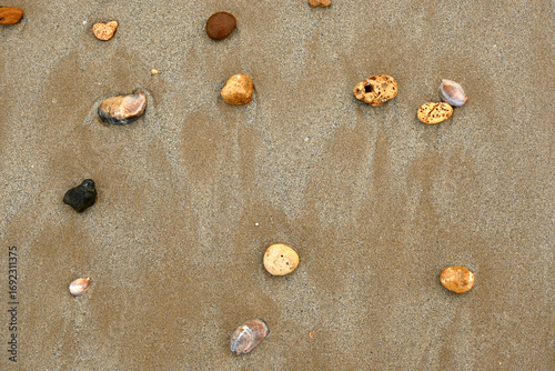 Coquillage et cailloux sur le sable