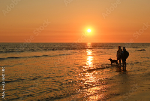 Contempler le coucher de soleil