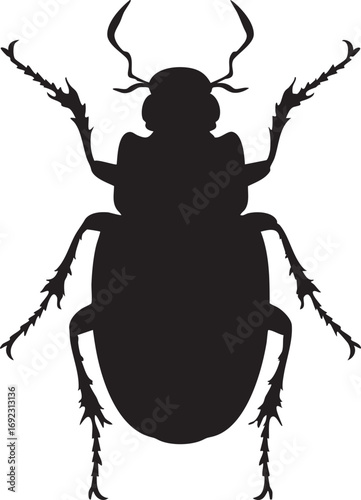 black silhouette beetle insect top view