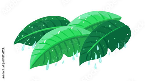 Tropical leaf rain vector illustration design for nature themed graphics and creative projects usage online