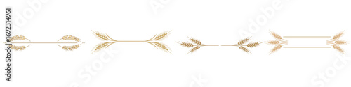 Set of decorative dividers, horizontal line with symmetrical wheat stalks, warm golden beige color