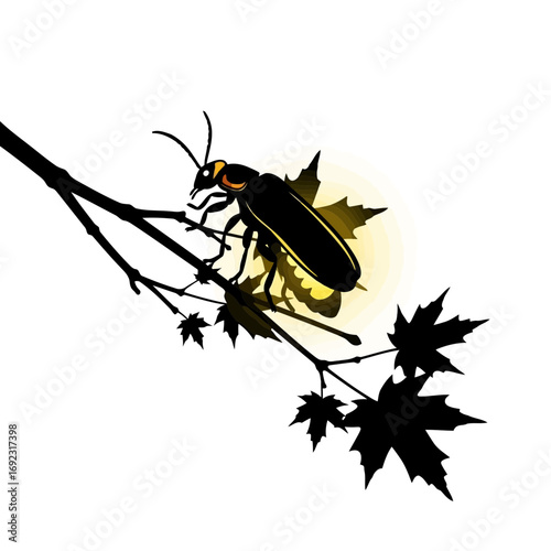 Firefly silhouette on a branch with maple leaves isolated on white background