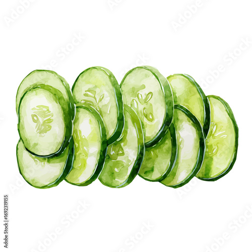 vector illustration and EPS format design. vector illustration, isolated on a white background, Mine Watercolor, Watercolor style painting of cucumber slices arranged