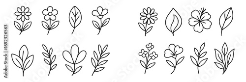 Collection of hand-drawn doodle flowers and leaves, minimalist botanical line art elements for design, simple floral icons set