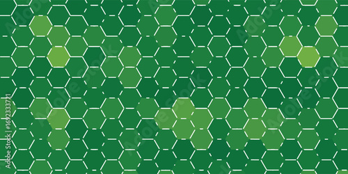 Honeycomb hexagon isolated on white background. Vector illustration. Green hexagon pattern.
