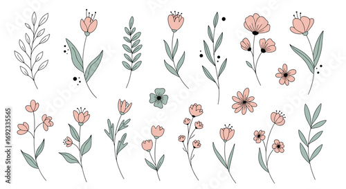 Charming floral elements with delicate blooms and leaves for your elegant design projects and creative resources