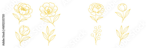 Elegant gold foil botanical collection featuring peony flowers and leaves in a sophisticated line art style for luxury branding and modern design