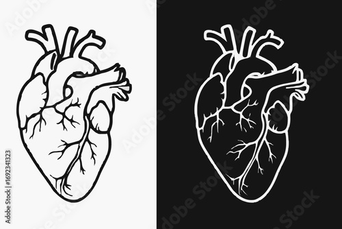 Anatomical heart illustration, black and white, graphic design, dual color scheme.