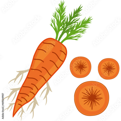 Orange Crunch Stick