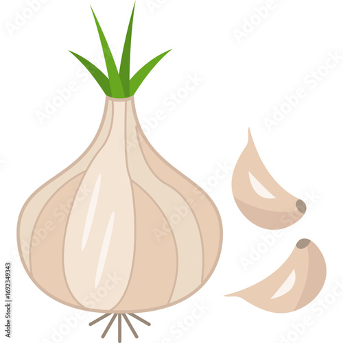 Aromatic White Bulb
