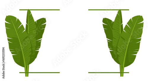 Two symmetrical bunches of lush green banana leaves framed by thin green lines.