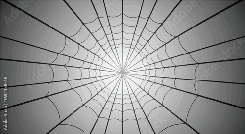 Intricate spider web pattern creating a radial tunnel effect with dramatic light