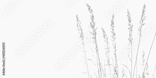 Thin herbs. Graphic black form with dusty overlay, scratch marks and distressed halftone threshold. Speckled pattern.