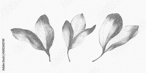 Floral motif. Monochrome ink object with distressed speckle, faint grain overlay and retro threshold noise, textured surface with dirt scatter.