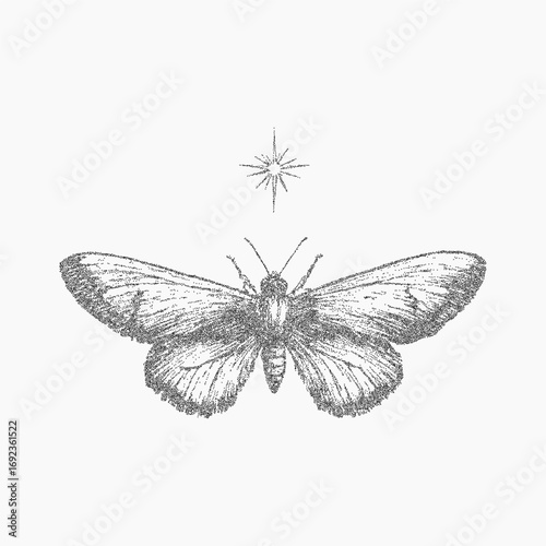 Moth and star with gritty ink fill, faded paper grain and stipple overlay. Vintage-style threshold and dusty noise cover the surface with scattered texture.