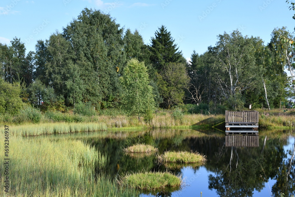 Fototapeta premium Natural monument Pernink peat bog