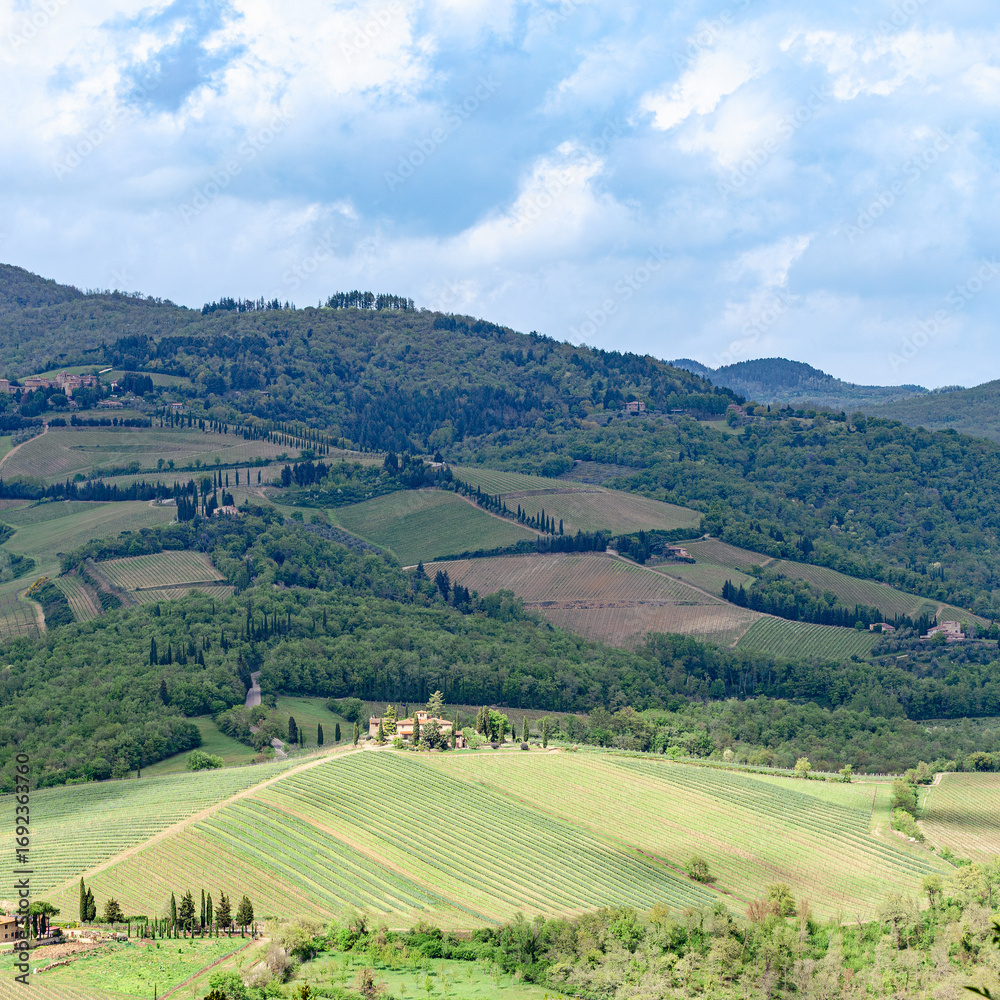Fototapeta premium Rolling hills and lush vineyards of Tuscany under a bright cloudy sky