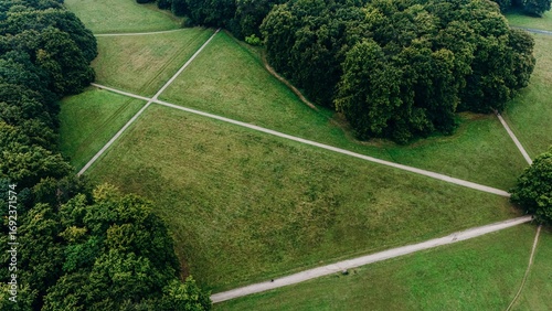 Aerial view of intersecting walking paths cutting across a large grassy field, bordered by dense green forest, creating a natural geometric pattern in the landscape.