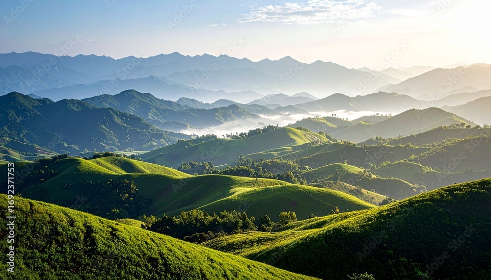 Fototapeta premium Green rolling hills under misty mountains