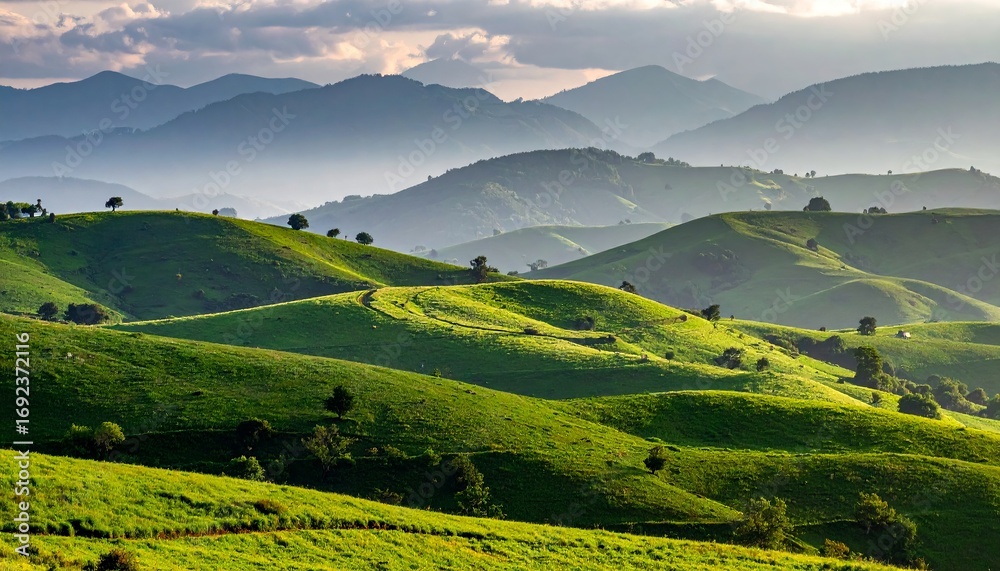Obraz premium Green rolling hills under misty mountains