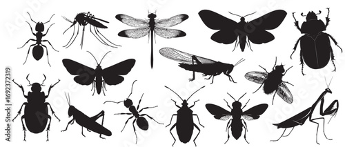 Collection of insect silhouettes