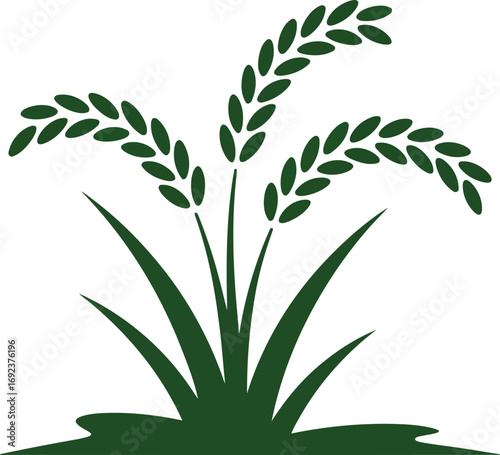 Fresh green rice plants symbolize harvest, agriculture, and prosperity for your brand design project or marketing
